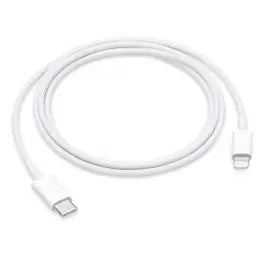 CABLE APPLE 1M